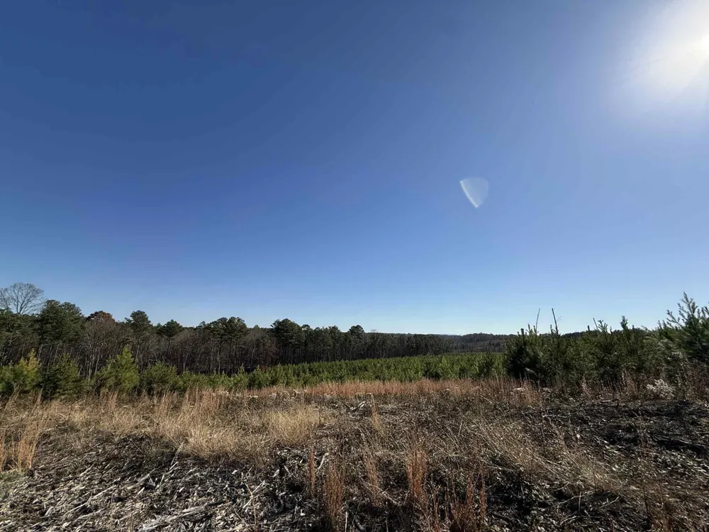 0 St Rt 399 Dunlap, TN 37327