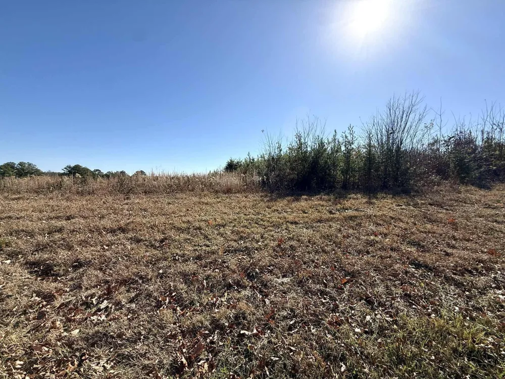 0 St Rt 399 Dunlap, TN 37327