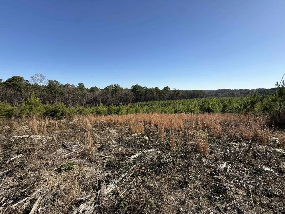 0 St Rt 399 Dunlap, TN 37327