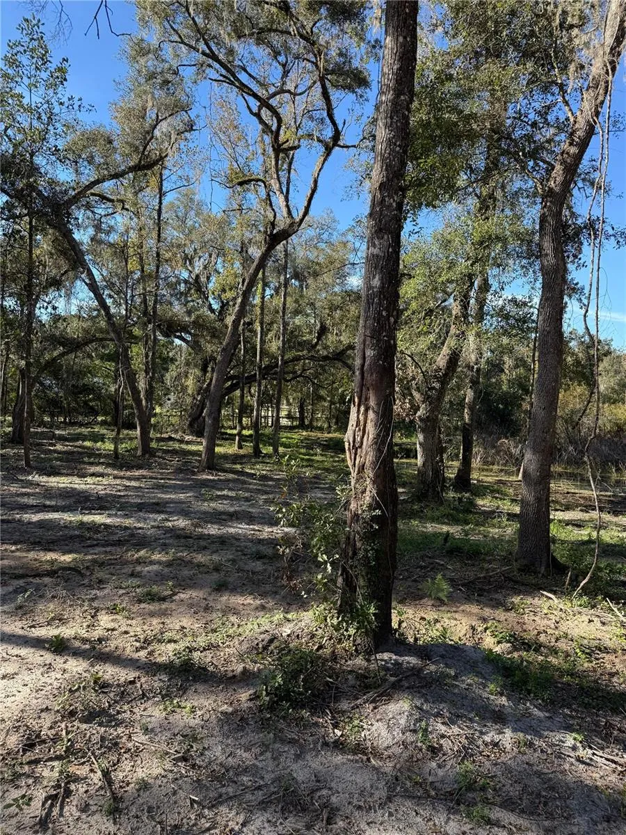 7TH PLACE ocala, FL 34482