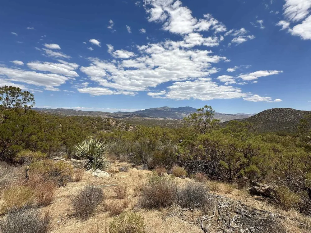 59675 Upper Tule Road Anza, CA 92539