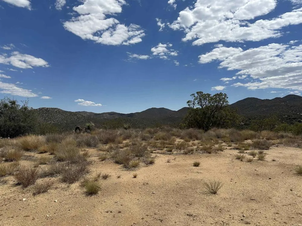 59675 Upper Tule Road Anza, CA 92539
