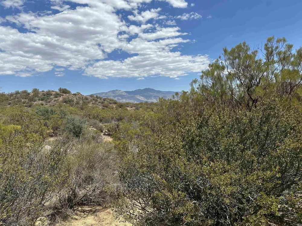 59675 Upper Tule Road Anza, CA 92539