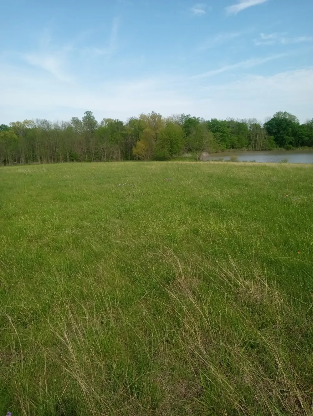 1008 COUNTY ROAD 4133 Cumby, TX 75433