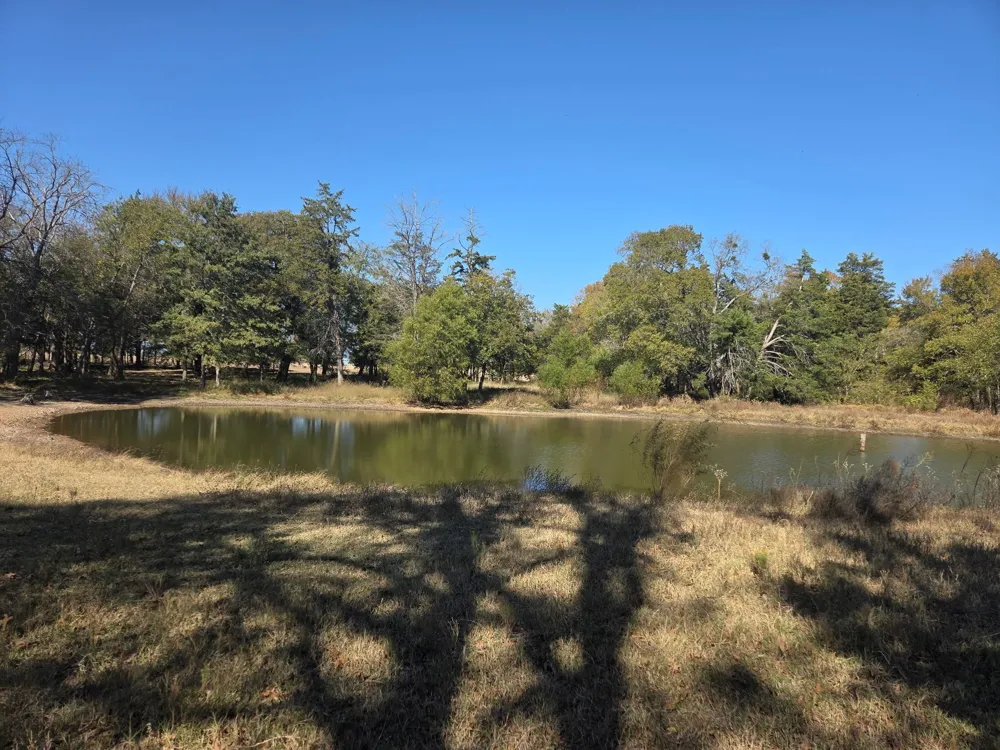1008 COUNTY ROAD 4133 Cumby, TX 75433