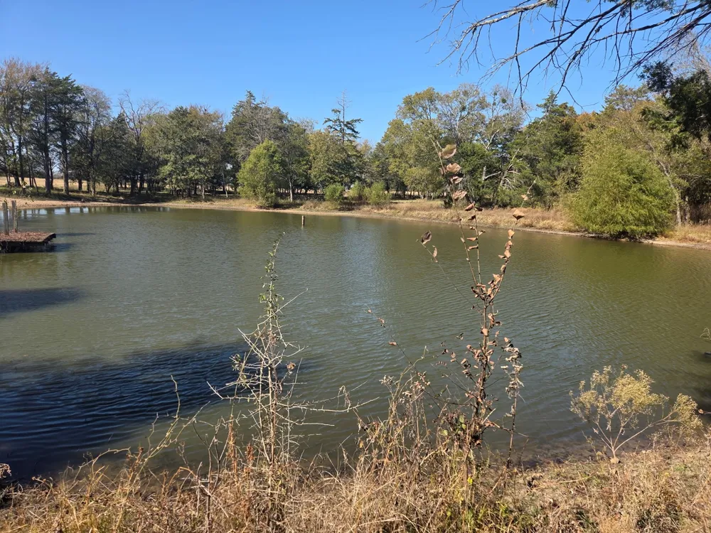 1008 COUNTY ROAD 4133 Cumby, TX 75433