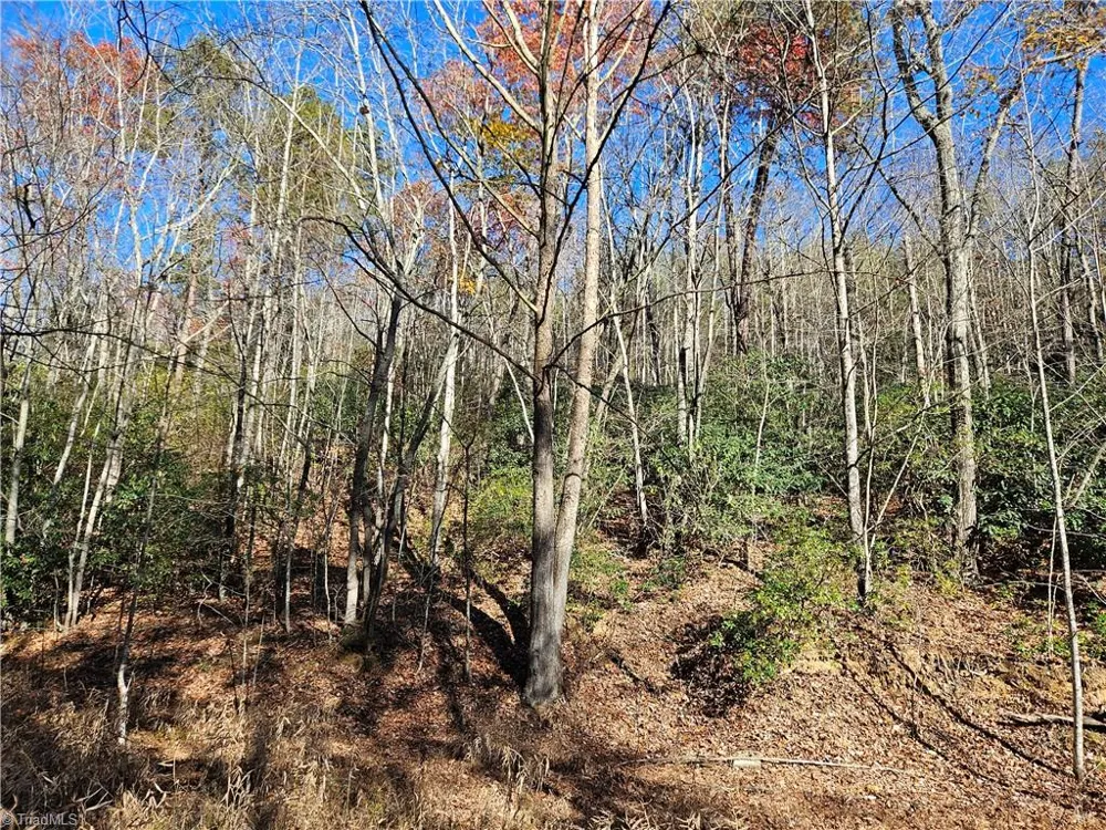 3309 E Pine Street Mount Airy, NC 27030