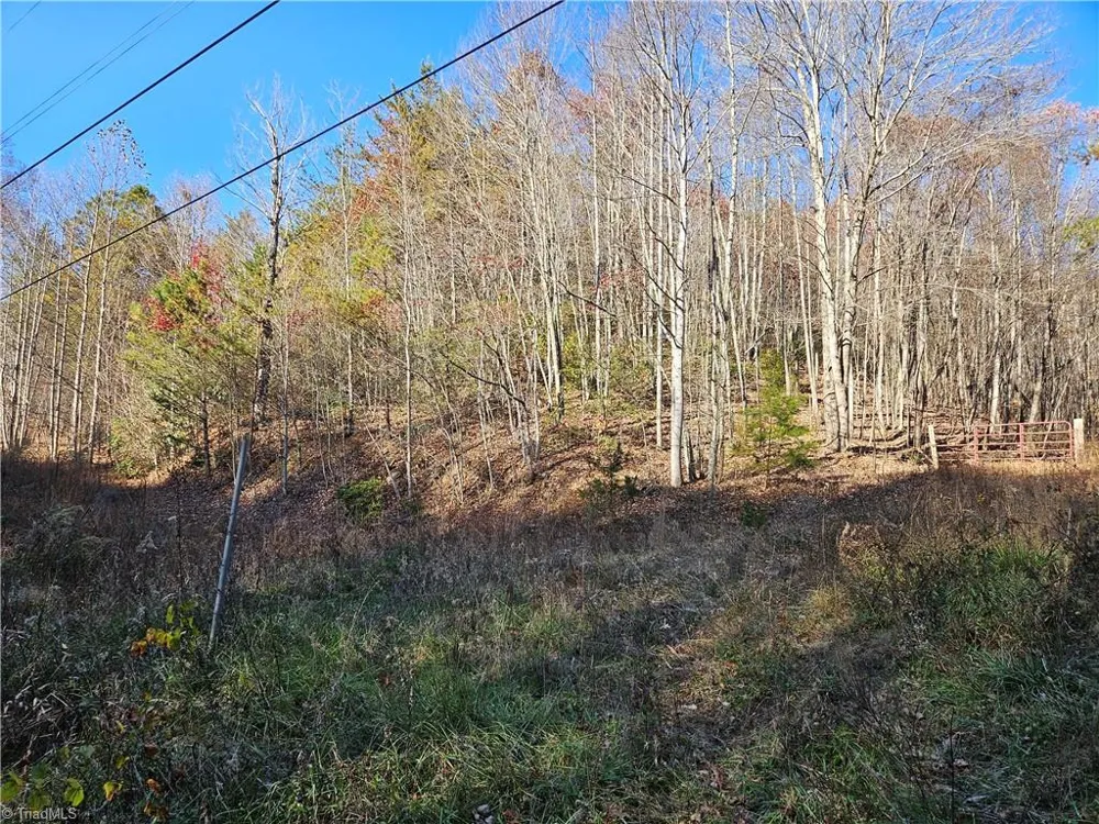 3309 E Pine Street Mount Airy, NC 27030