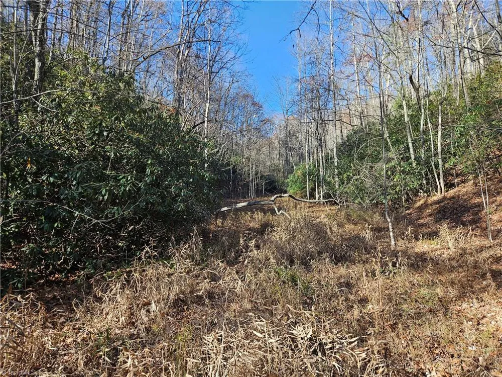 3309 E Pine Street Mount Airy, NC 27030