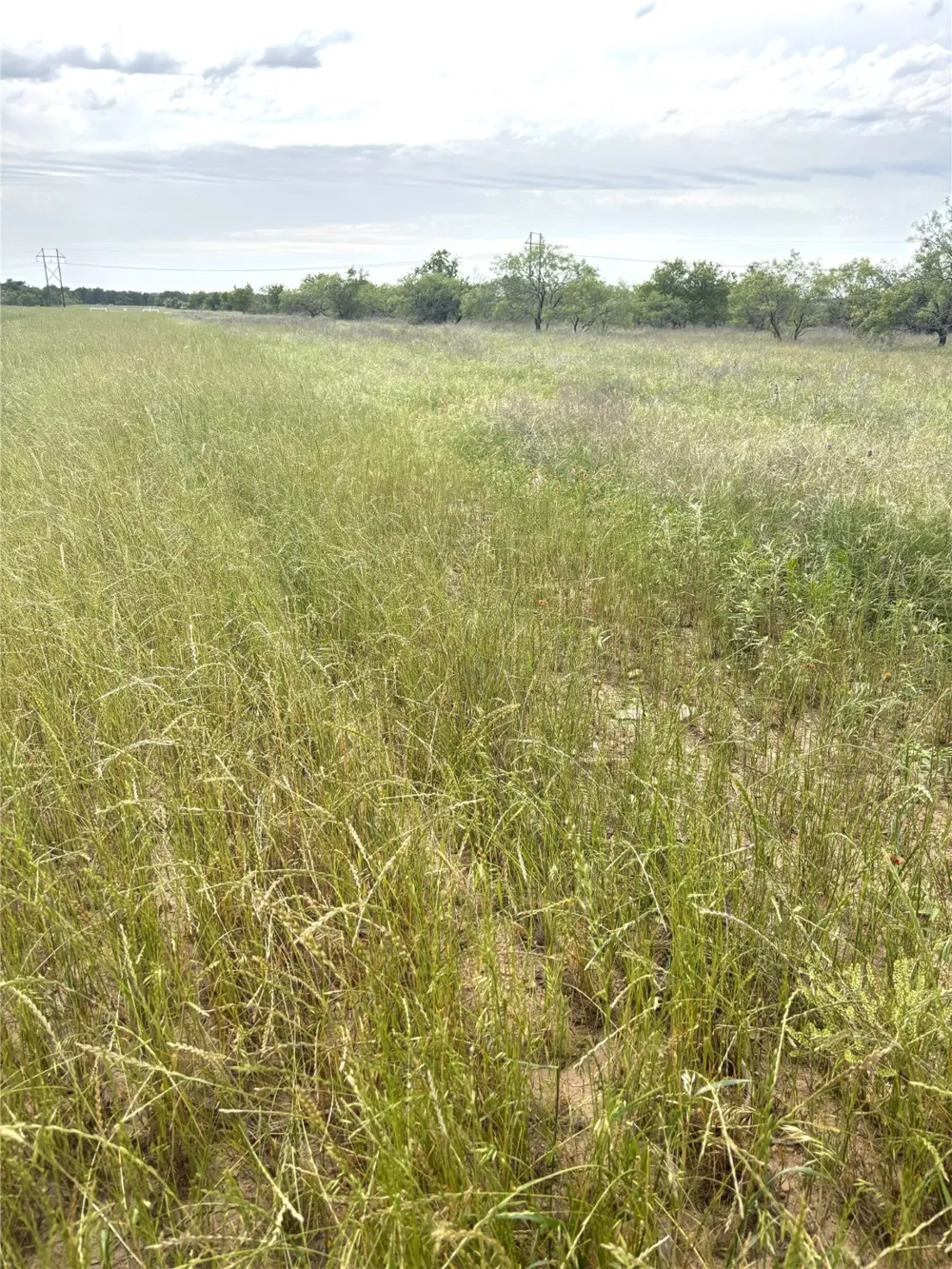 Grindstone Brock, TX 76087