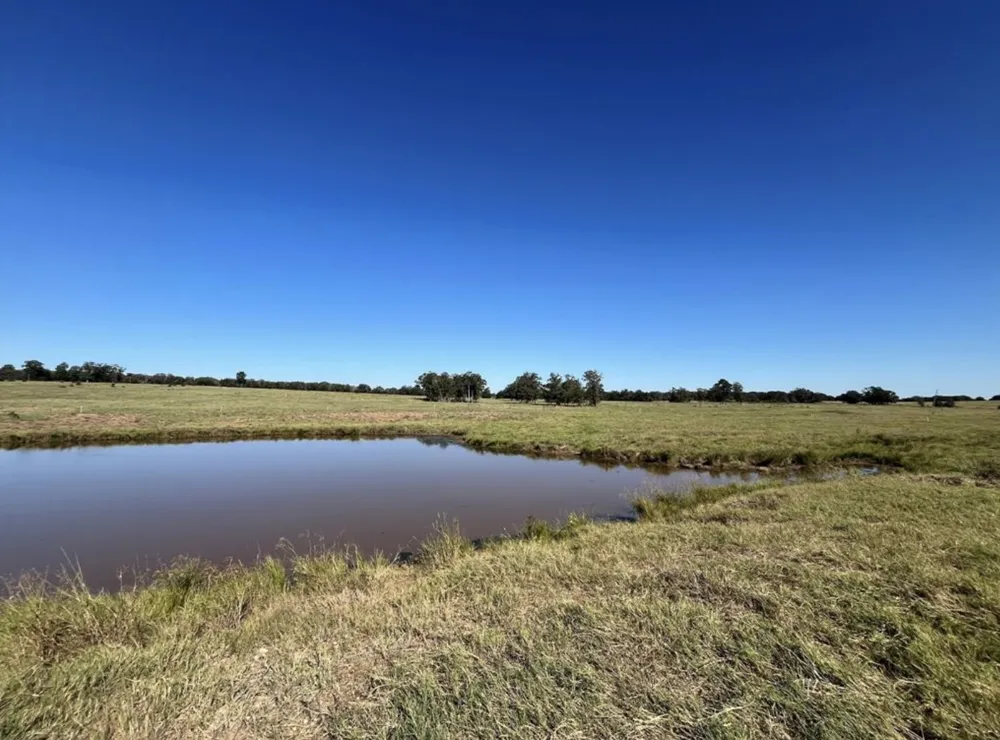 1078 Old Pin Oak Road #Tract 2 Paige, TX 78659