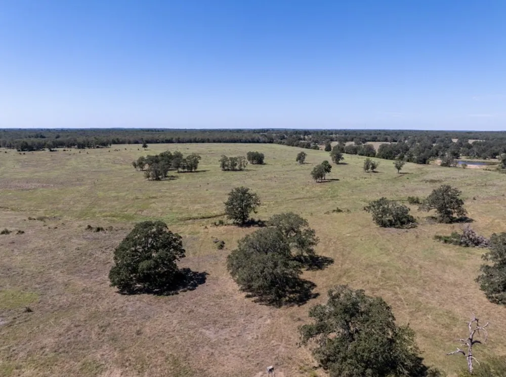 1078 Old Pin Oak Road #Tract 2 Paige, TX 78659
