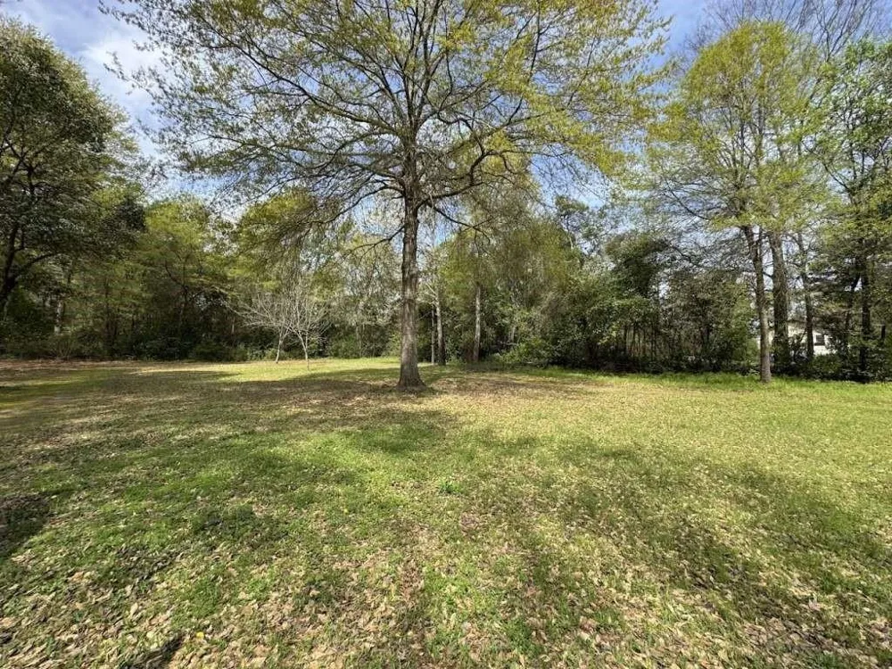 925 Arkansas Street Atlanta, TX 75551