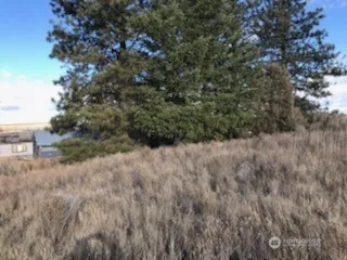 39680 -5 Star Barn Road Davenport, WA 99122