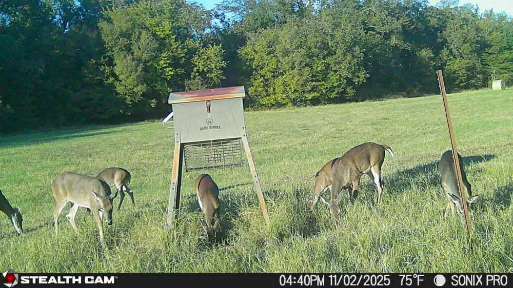 684 County Road 473 Lott, TX 76656