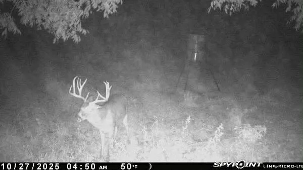 684 County Road 473 Lott, TX 76656