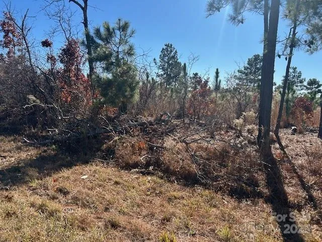 3583 Mill Creek Road Kershaw, SC 29009