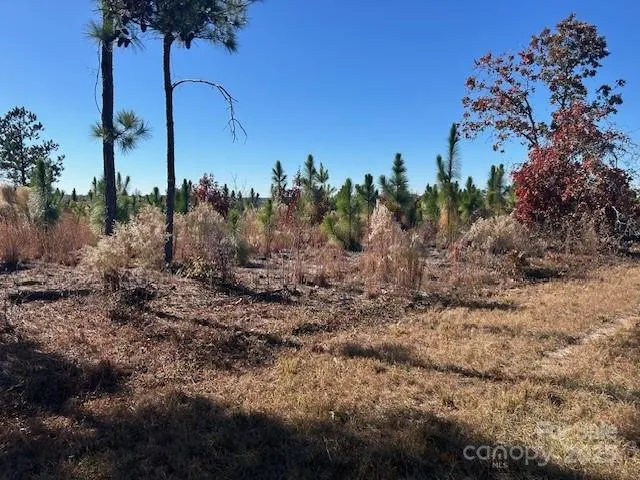 3583 Mill Creek Road Kershaw, SC 29009
