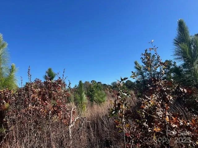 3583 Mill Creek Road Kershaw, SC 29009