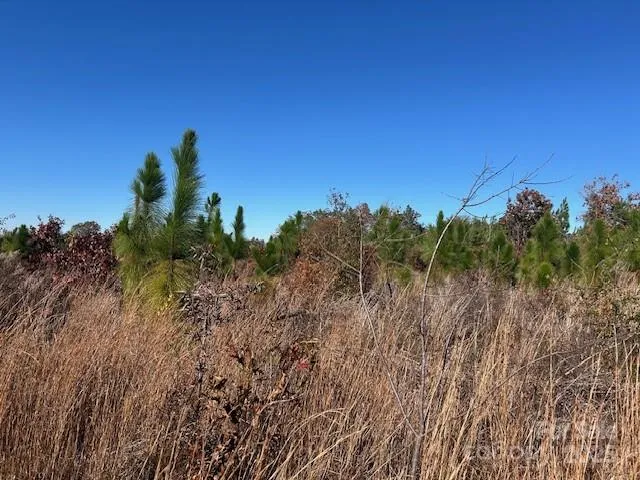 3583 Mill Creek Road Kershaw, SC 29009