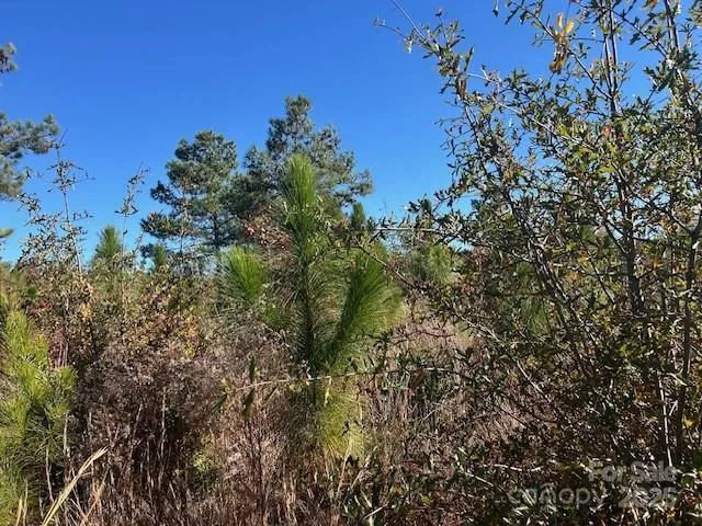 3583 Mill Creek Road Kershaw, SC 29009