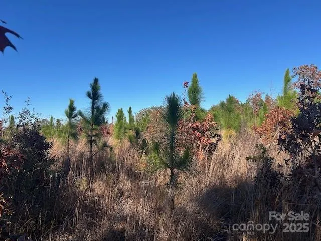 3583 Mill Creek Road Kershaw, SC 29009