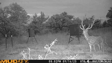 LOT 2 Live Oak Ridge