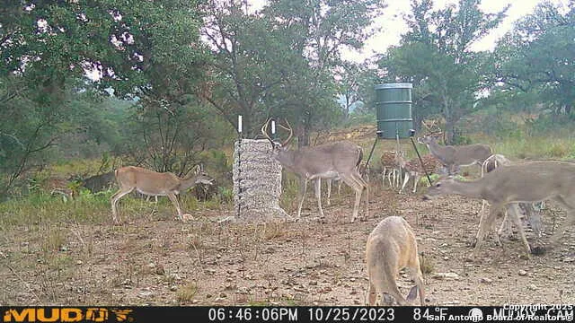 LOT 2 Live Oak Ridge Bandera, TX 78003