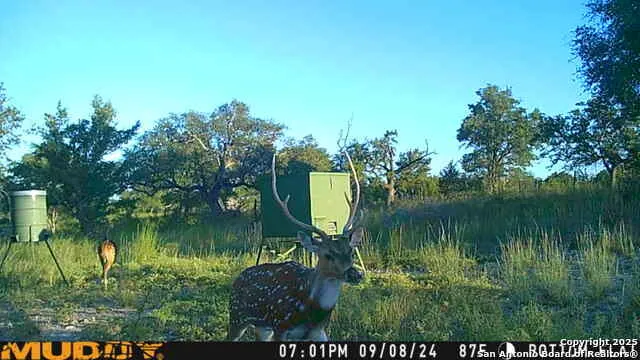 LOT 2 Live Oak Ridge Bandera, TX 78003