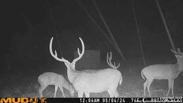 LOT 2 Live Oak Ridge Bandera, TX 78003