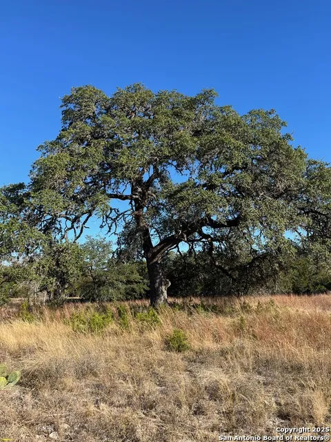 LOT 2 Live Oak Ridge Bandera, TX 78003