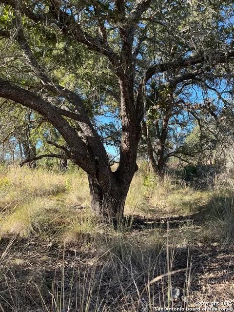 LOT 2 Live Oak Ridge Bandera, TX 78003