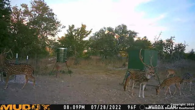 LOT 2 Live Oak Ridge Bandera, TX 78003
