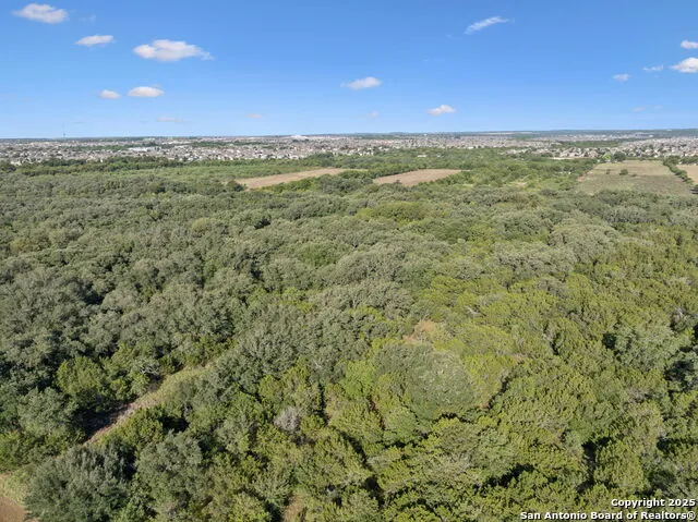 13146 Galm Rd San Antonio, TX 78254