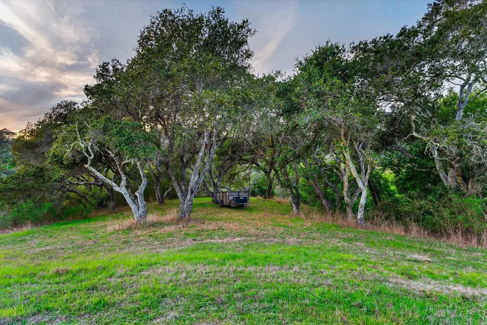 3485 Stable Lane Santa Cruz, CA 95065