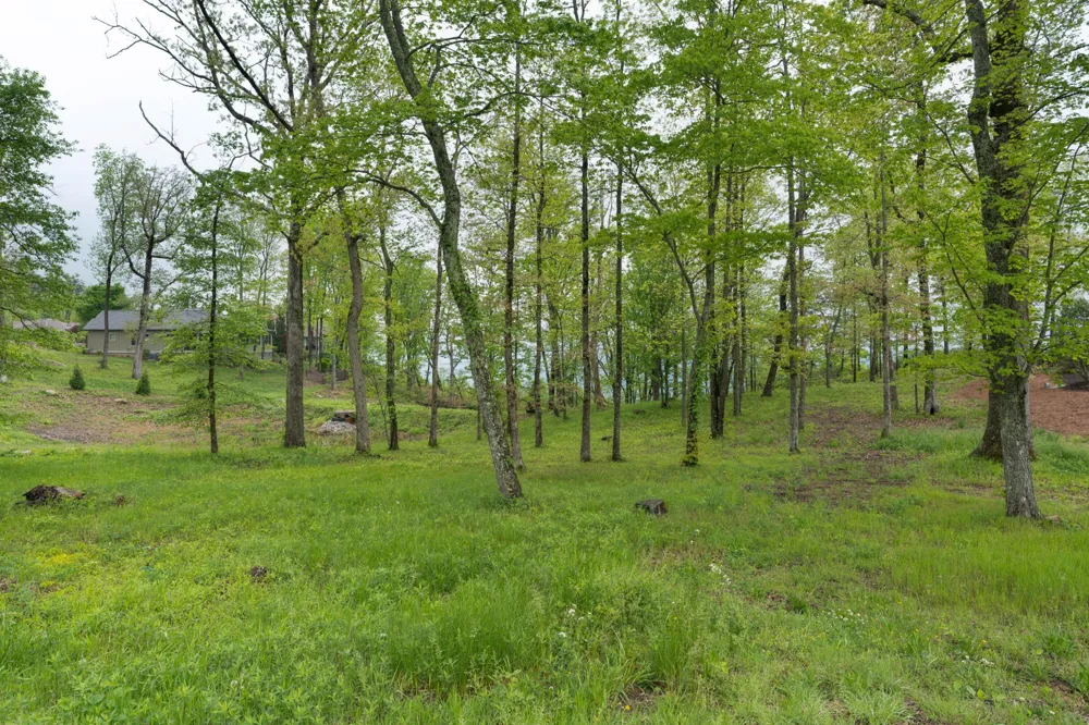 407 Brow Wood Lane Lookout Mountain, GA 30750