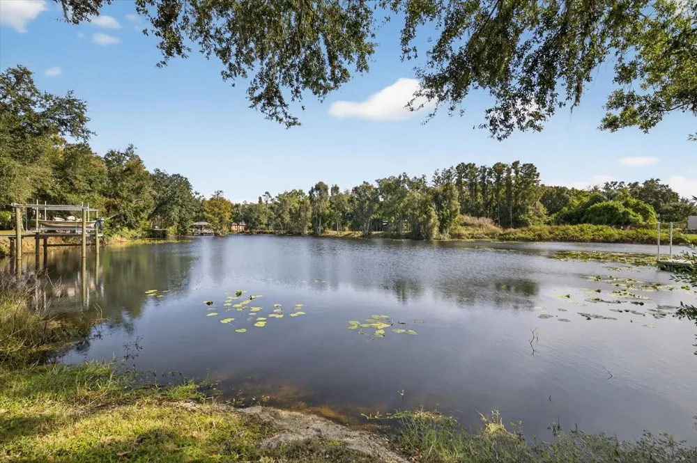 3926 COVE LAKE PLACE Land O Lakes, FL 34639