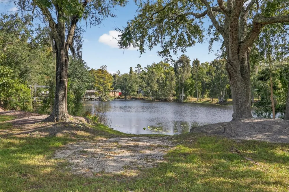 3926 COVE LAKE PLACE Land O Lakes, FL 34639