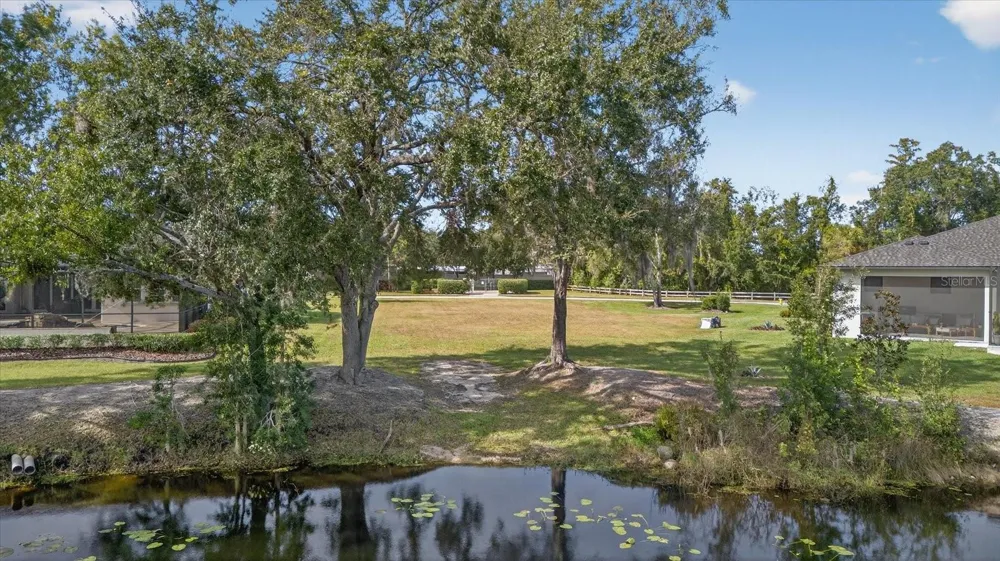 3926 COVE LAKE PLACE Land O Lakes, FL 34639