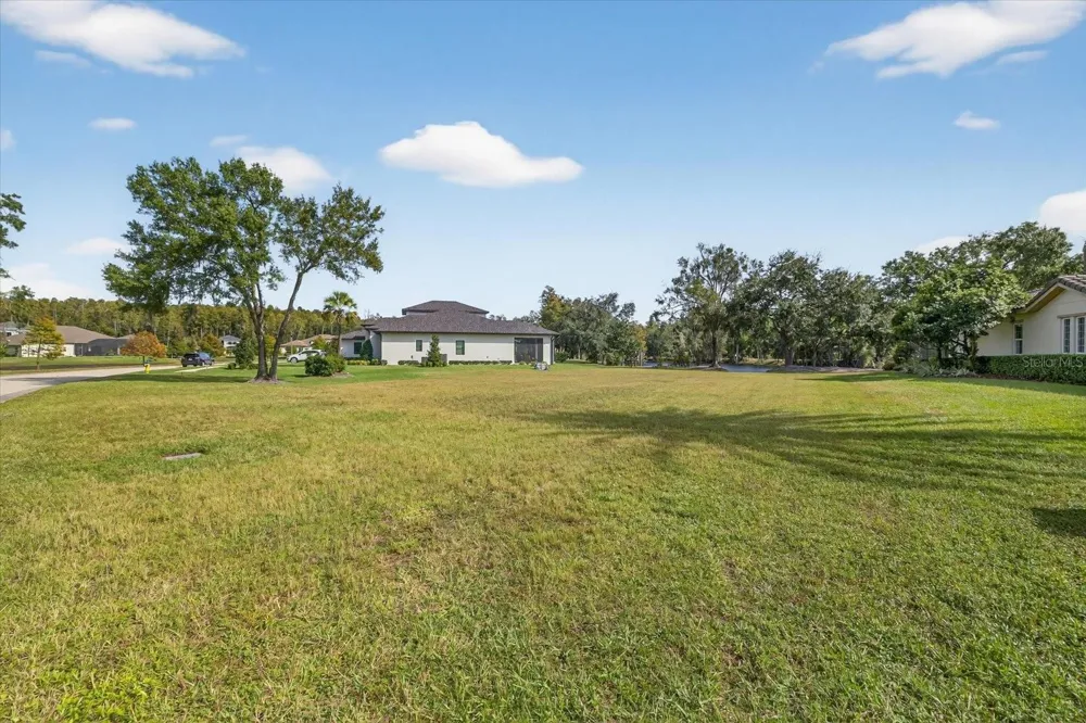 3926 COVE LAKE PLACE Land O Lakes, FL 34639