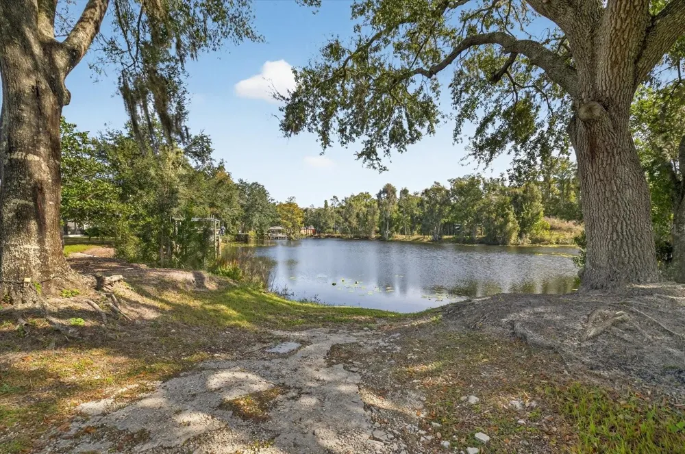 3926 COVE LAKE PLACE Land O Lakes, FL 34639