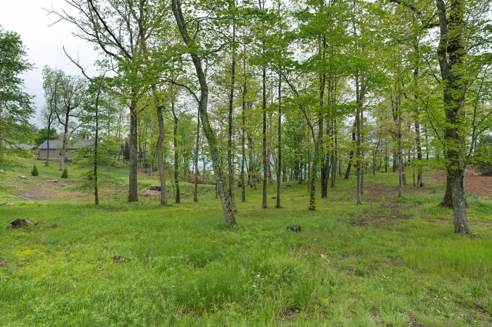 407 Brow Wood Lane Lookout Mountain, GA 30750