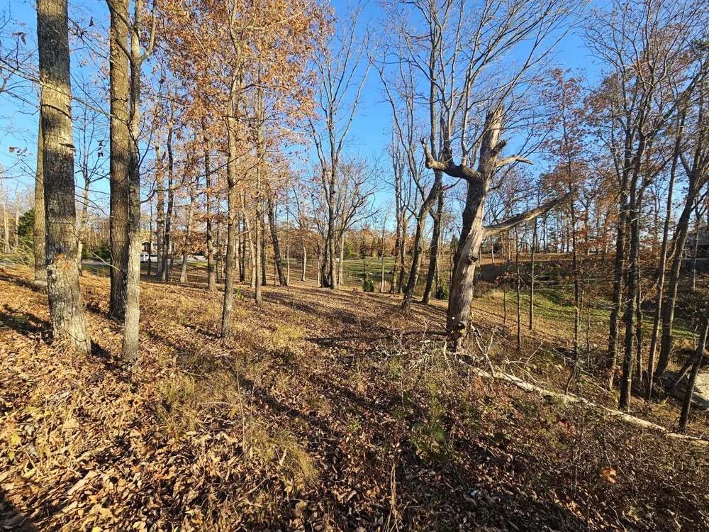 407 Brow Wood Lane Lookout Mountain, GA 30750