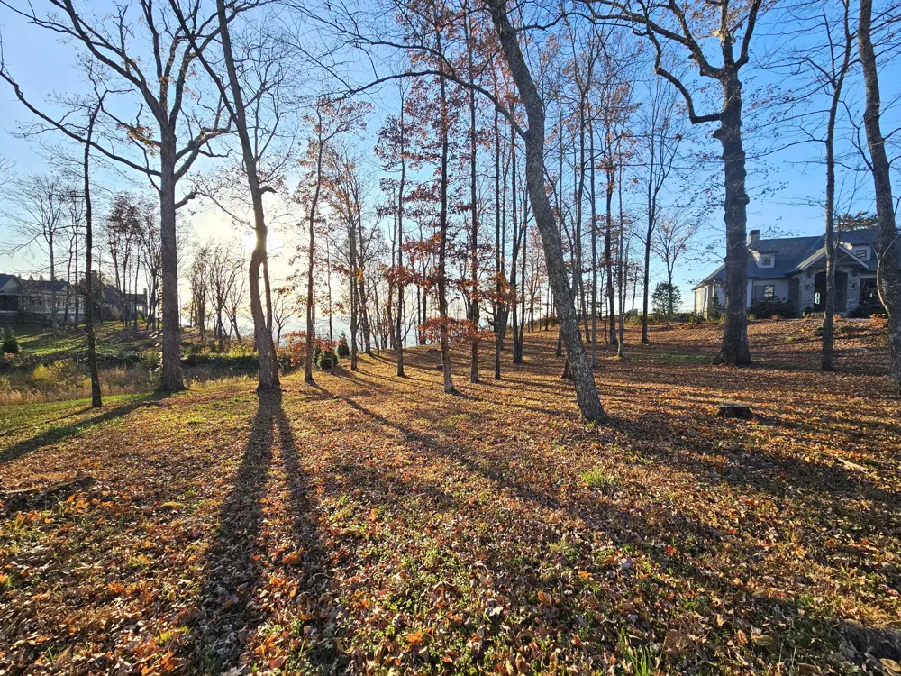 407 Brow Wood Lane Lookout Mountain, GA 30750