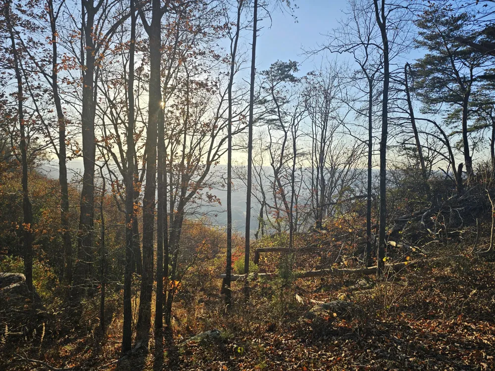 407 Brow Wood Lane Lookout Mountain, GA 30750