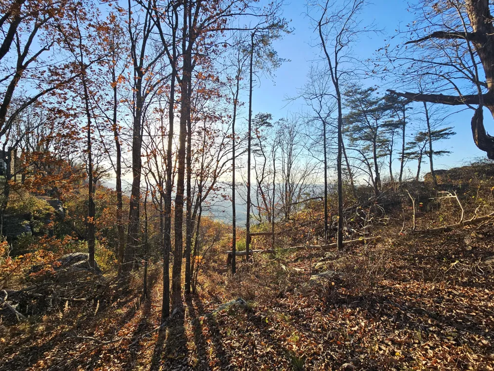407 Brow Wood Lane Lookout Mountain, GA 30750