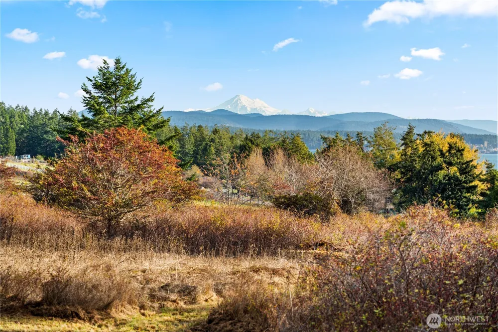 0 Pear Point Road Friday Harbor, WA 98250