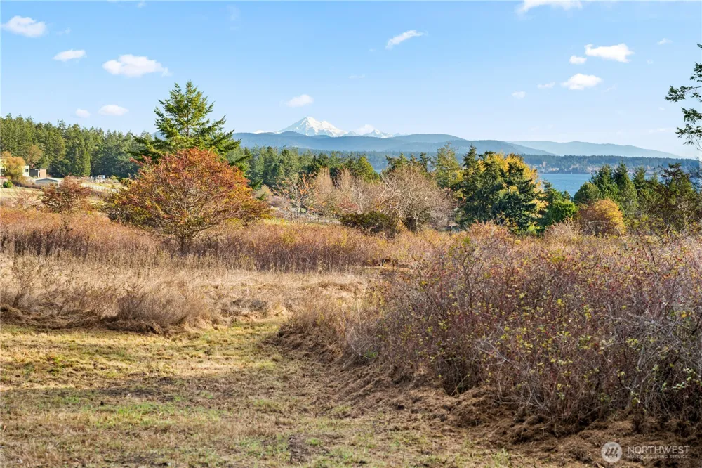 0 Pear Point Road Friday Harbor, WA 98250