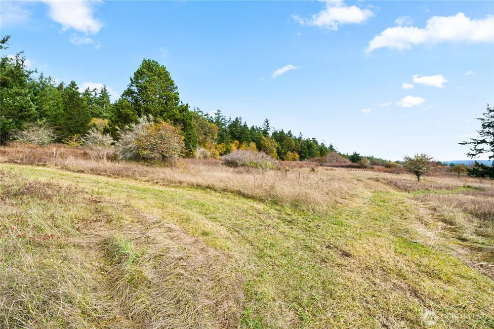 0 Pear Point Road Friday Harbor, WA 98250