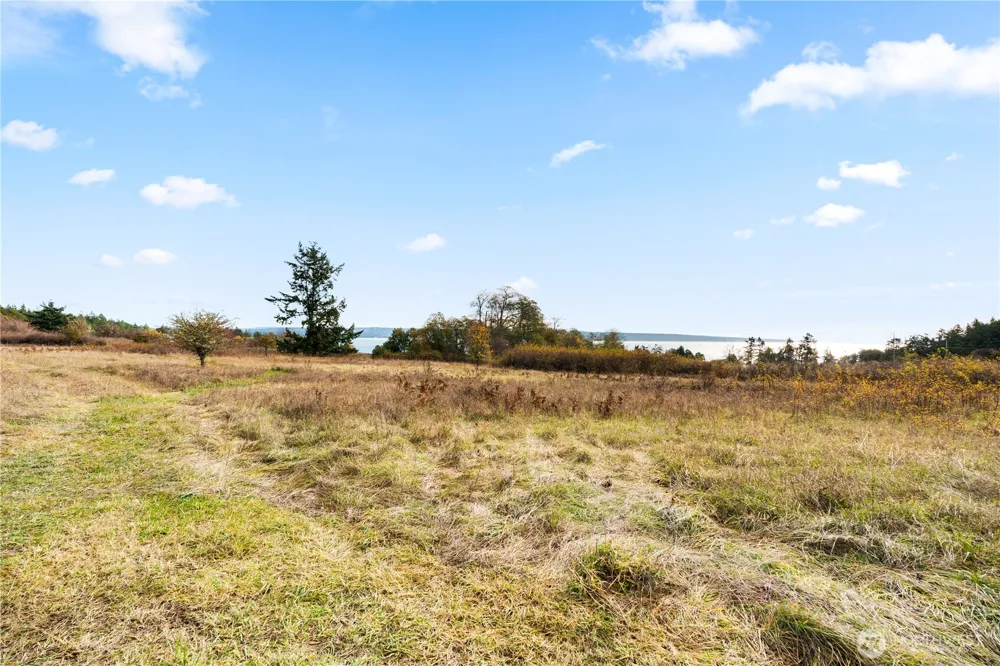 0 Pear Point Road Friday Harbor, WA 98250